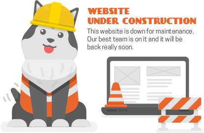 BEST UNDER CONSTRUCTION
