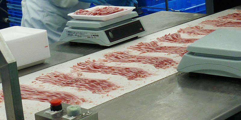 Tailorbelt Meat transport - MX719W Bima Efisien Solusi Teknik