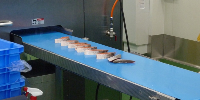 Tailorbelt Seafood processing factory-MX733CBL Bima Efisien Solusi Teknik BEST