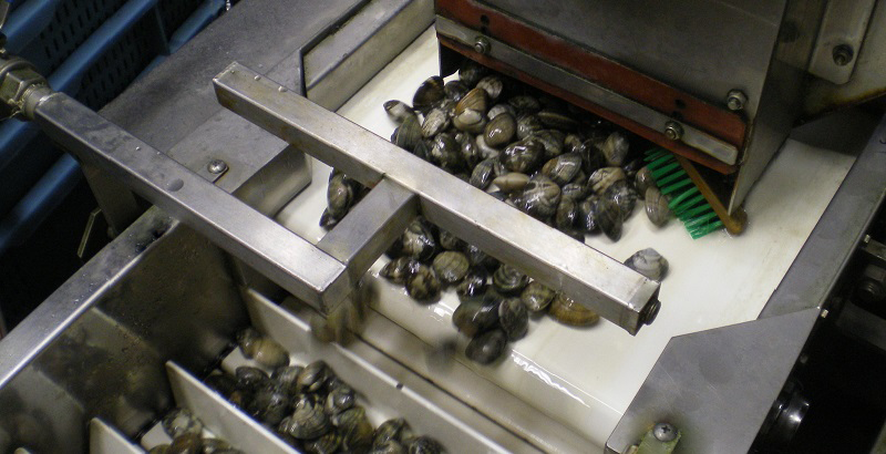 Tailorbelt Seafood transport - MX333W Bima Efisien Solusi Teknik BEST